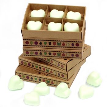 LWMelt-17 - packs Wax Melts - Menthe & Menthol - Vendu en 5x unité/s par extérieur 2