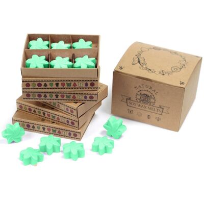 LWMelt-20 - confezioni Wax Melts - Hidden Garden - Venduto in unità 5x per esterno