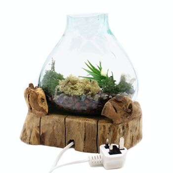 MGW-12 - Grand aquarium en verre fondu 3,7 litres (avec cavité légère) - 30 cm - Vendu en 1x unité/s par extérieur 4