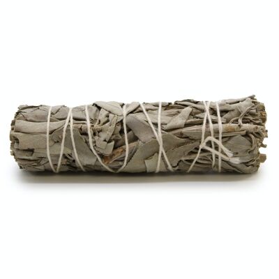 MSage-24 - Smudge Stick - Dream Sage 10 cm - Venduto in 1x unità/i per esterno