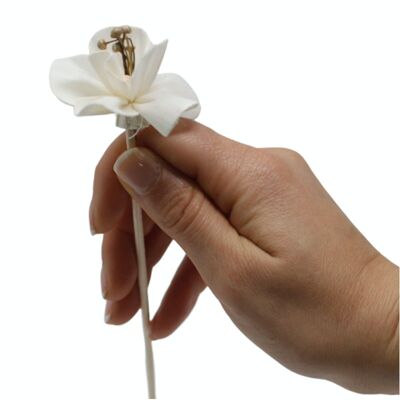 Ndiff-11 - Natural Diffuser Flowers - Lily on Reed - Sold in 12x unit/s per outer