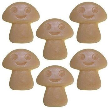 NWMelt-12 - Nat-Wax Melts - Old Ginger - Vendu en 5x unité/s par extérieur 3