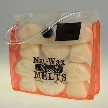 NWMelt-12 - Nat-Wax Melts - Old Ginger - Vendu en 5x unité/s par extérieur 4