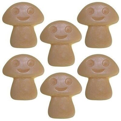 NWMelt-12 - Nat-Wax Melts - Old Ginger - Sold in 5x unit/s per outer
