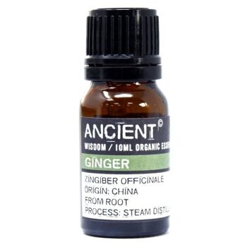 OrgEO-19 - Huile Essentielle Bio de Gingembre 10ml - Vendu en 1x unité/s par enveloppe 4