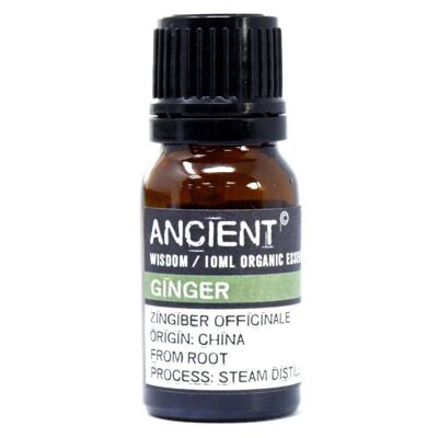 OrgEO-19 - Ginger Organic Essential Oil 10ml - Sold in 1x unit/s per outer