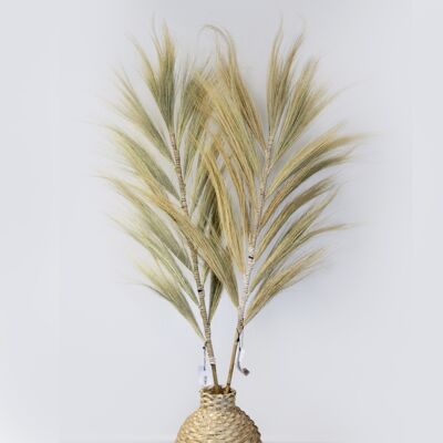 PamG-02 - Rayung Grass Blond - 1.6m - Sold in 1x unit/s per outer