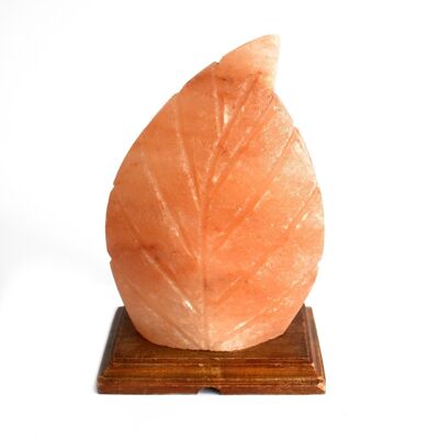 Qsalt-61 - Salt Lamp - UK Plug - Fern Shaped - Sold in 1x unit/s per outer