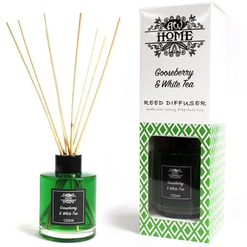 RDHF-04 - 120ml Reed Diffuser - Gooseberry & White Tea - Sold in 1x unit/s per outer