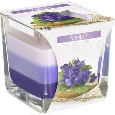 RJC-02 – Regenbogenkerze im Glas – Violett – Verkauft in 6 Einheiten pro Außenhülle