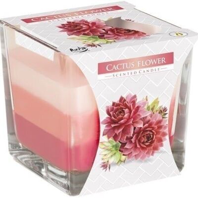 RJC-03 - Rainbow Jar Candle - Cactus flower - Sold in 6x unit/s per outer