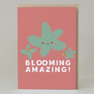 Blooming Amazing