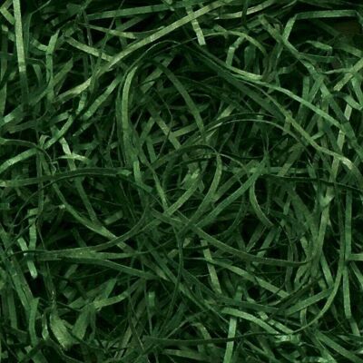 ShredpKG-05 - Very Fine Shredded paper - Forest Green 0.5kg - Sold in 1x unit/s per outer