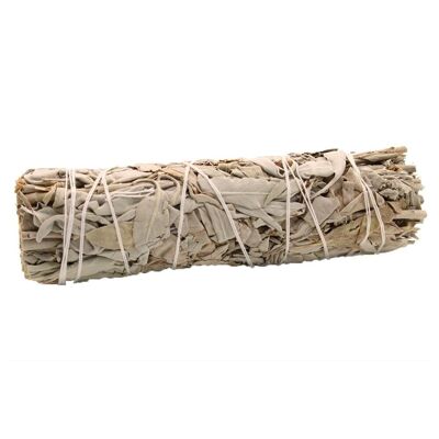 SmudgeS-11 - Smudge Stick - White Sage 10cm - Venduto in 1x unità/i per esterno