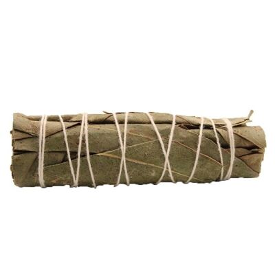 SmudgeS-38 - Smudge Stick - Eucalyptus Sage 10cm - Sold in 1x unit/s per outer