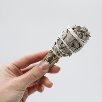 Smudges-51 - Smudge Stick - Mini torche à la sauge blanche 10 cm - Vendu en 1x unité/s par extérieur 6