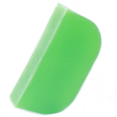 Solid-02 - Thyme & Mint - Argan Solid Shampoo - Sold in 1x unit/s per outer