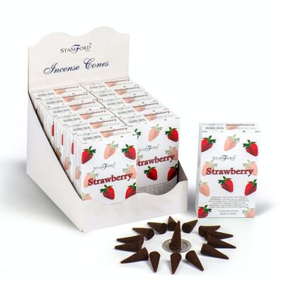 StamC-24 - Box of 12 Strawberry cones - Sold in 12x unit/s per outer