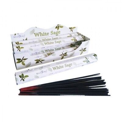 StamFP-10 - White Sage Premium Incense - Sold in 6x unit/s per outer