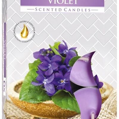 STL-20 - Juego de 6 velas de té perfumadas - Violeta - Vendido en 12x unidad/es por exterior