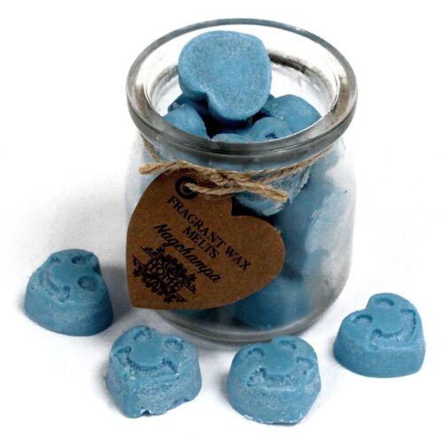 SWMJ-06 - Soywax Melts Jar - Nagchampa - Sold in 6x unit/s per outer