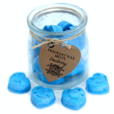 SWMJ-17 - Soywax Melts Jar - Dewberry - Vendu en 6x unité/s par extérieur