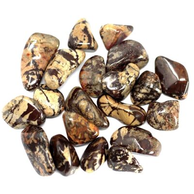 TBML-08 - Jaspe de piedras preciosas africanas - Nguni - Vendido en 20x unidad/es por exterior