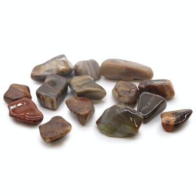 TbmM-10 - M Tumble Stone - Petrified Wood - Sold in 24x unit/s per outer