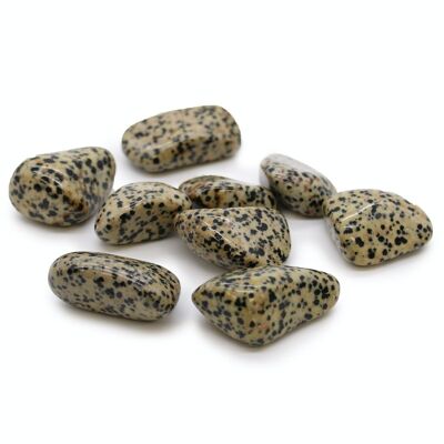 TBXL-03 - XL Tumble Stones - Dalmation Stone - Vendu en 18x unité/s par extérieur