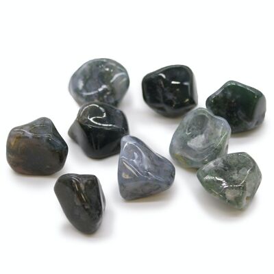 TBXL-18 - XL Tumble Stones - Green Moss - Venduto in unità 18x per esterno