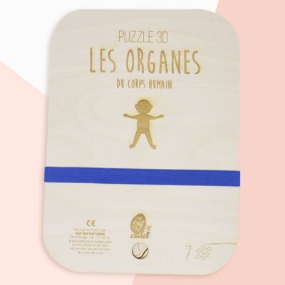 Puzzle 3D les organes et leurs fonctions vitales