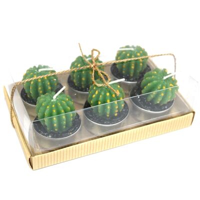 VCactus-07 - Juego de 6 velas de té de cactus barril en caja de regalo - Se venden en 5x unidad/es por exterior