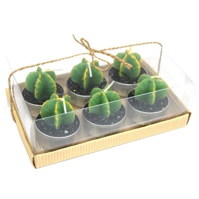 VCactus-08 - Ensemble de 6 Bougies Chauffe-Plat Monks Cactus dans une Boîte Cadeau - Vendu en 5x unité/s par extérieur