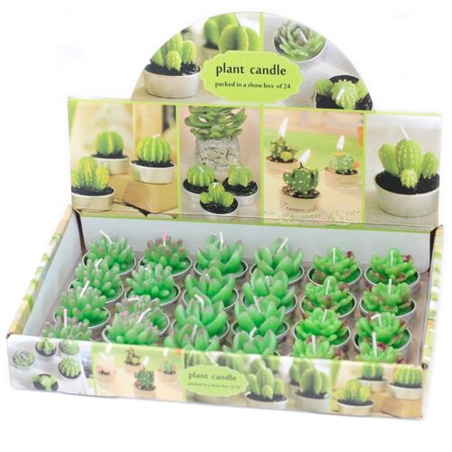 VCactus-13 - Tealight Lrg Cactus Candles Assorted (Display) - Sold in 24x unit/s per outer