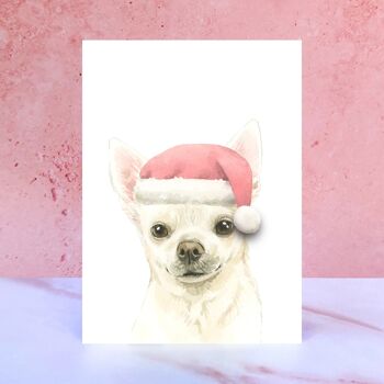 Carte de Noël Pompon Chihuahua 1