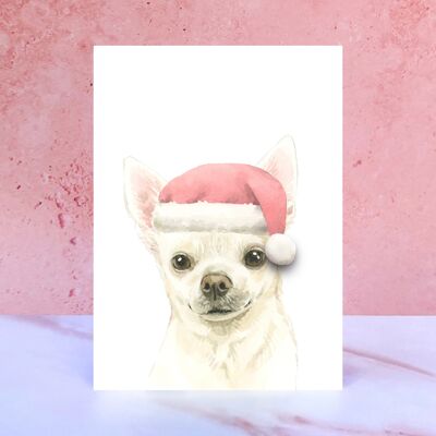 Chihuahua-Pompon-Weihnachtskarte