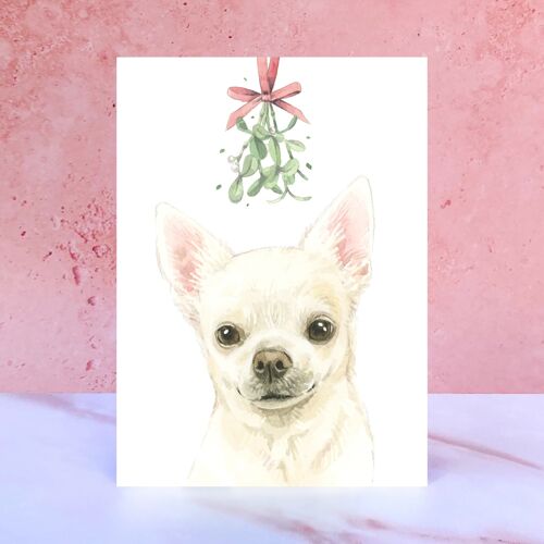 Chihuahua Christmas Card