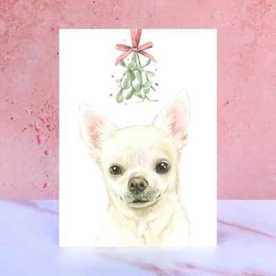 Chihuahua-Weihnachtskarte