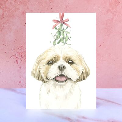 Shih Tzu Christmas Card