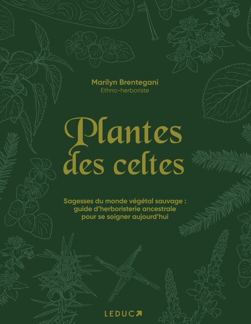 Plantes de celtes