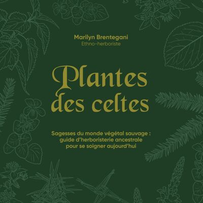piante celtiche