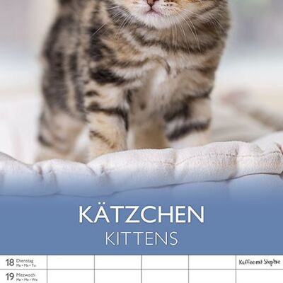 Family Calendar 2023 Kitten