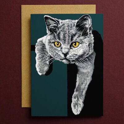 Cartes d'art Flora le chaton