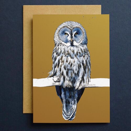 The Great Grey Owl Art Cards