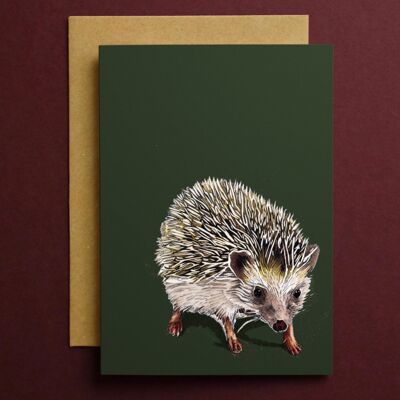 Tarjetas de arte de Kimchi The Hedgehog