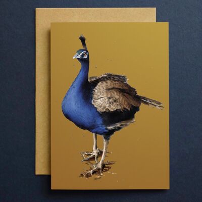 Las tarjetas artísticas del pavo real