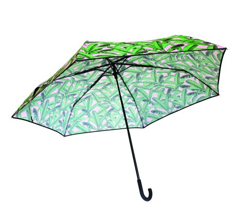 Alice Scott Umbrella