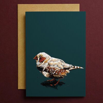 The Zebrafinch Art Cards