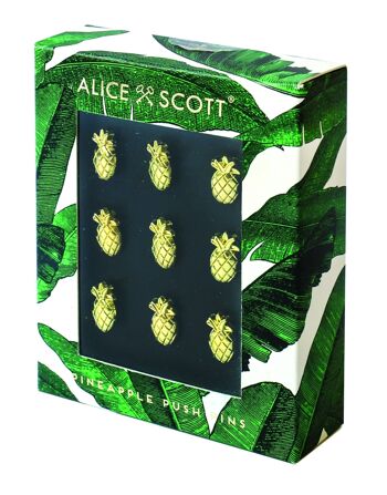 Alice Scott Punaises Ananas 1