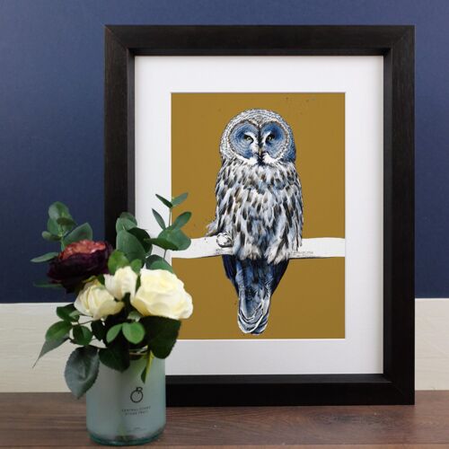 The Great Grey Owl A4 Art Prints